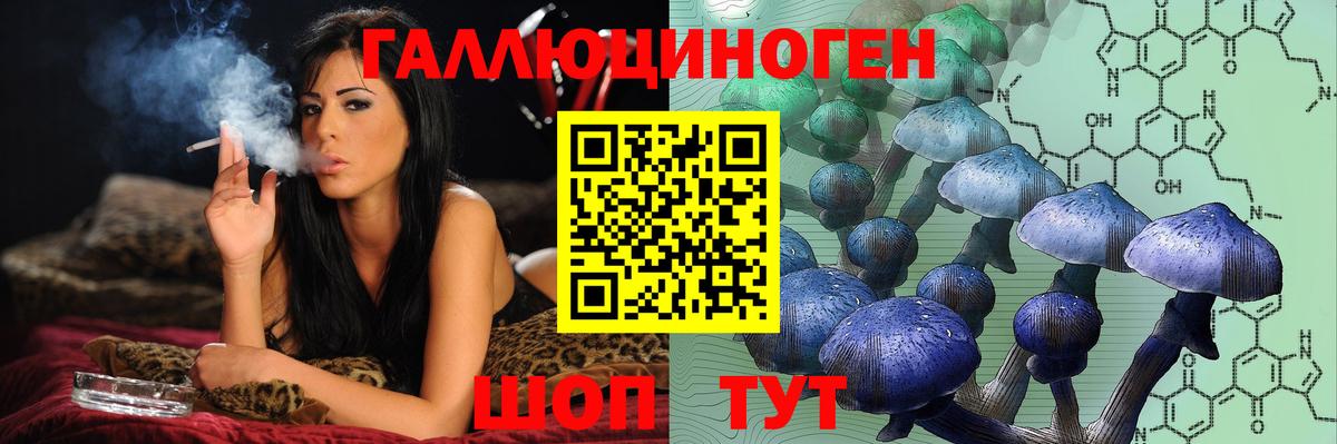 Галлюциногенные грибы мицелий  Вход с VPN  Зеленокумск  Псилоцибиновые грибы мицелий 